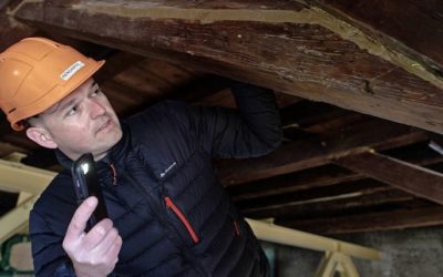 Des résines injectées dans le bois